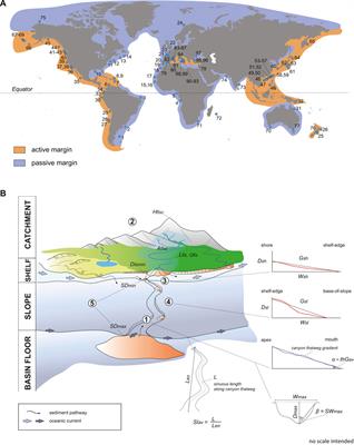 Tectonic Influence on the Geomorphology of Submarine Canyons: Implications for Deep-Water Sedimentary Systems